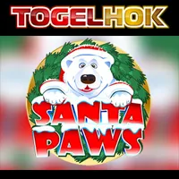 Santa Paws